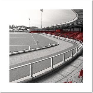 The Ryan McBride Brandywell Stadium - Derry City FC League of Ireland Football Artwork Posters and Art